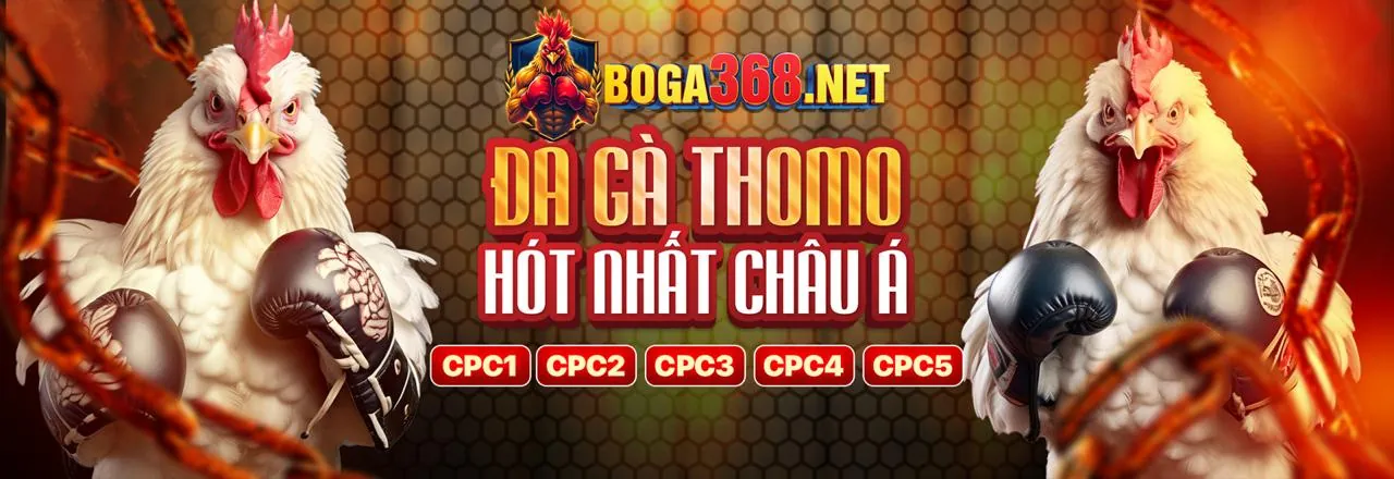 Blog 99win33 Đăng Nhập - Nơi Chia Sẻ Kiến Thức Cá Cược Hàng Đầu